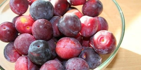 Kako zamrznuti šljive u zamrzivaču